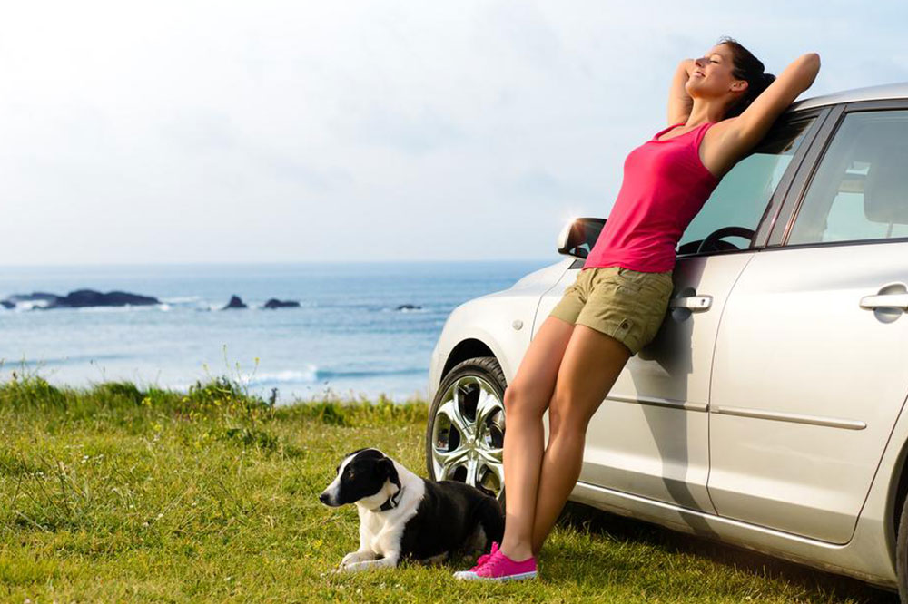 A Must-Have Travel Checklist for Pets