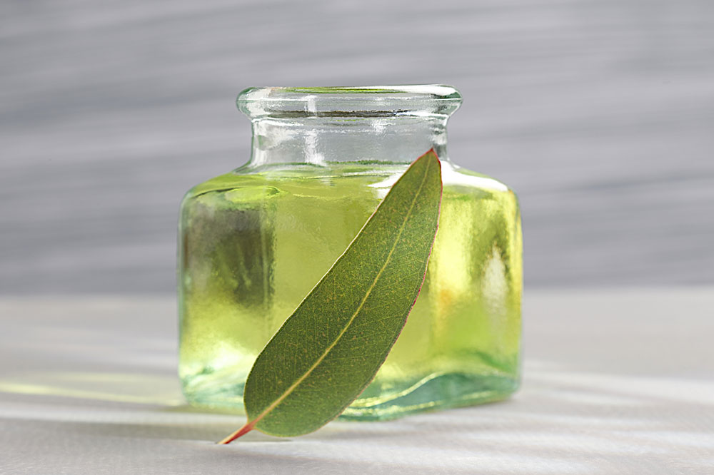 Safe Tips for Useing Essential Oils Around Pets