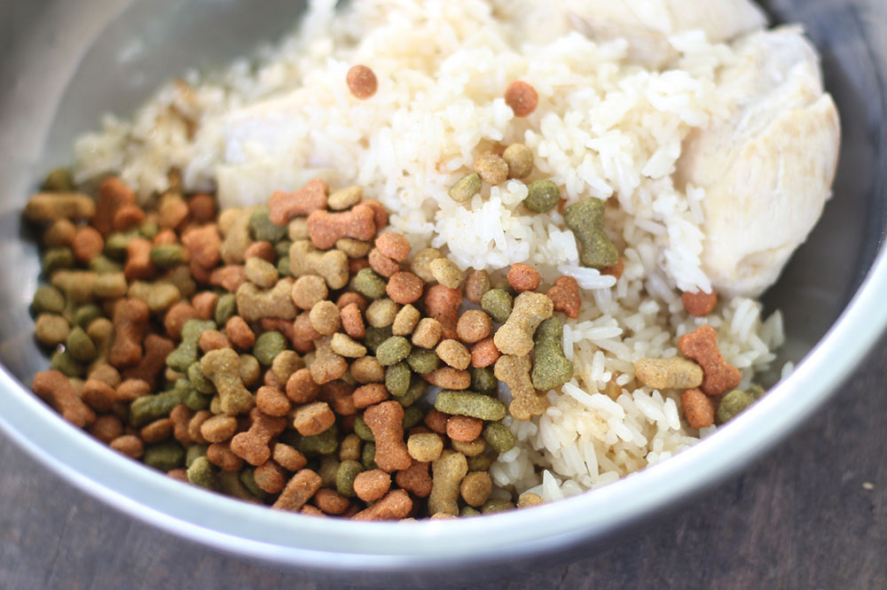 4 Delicious Homemade Dog Food Recipes